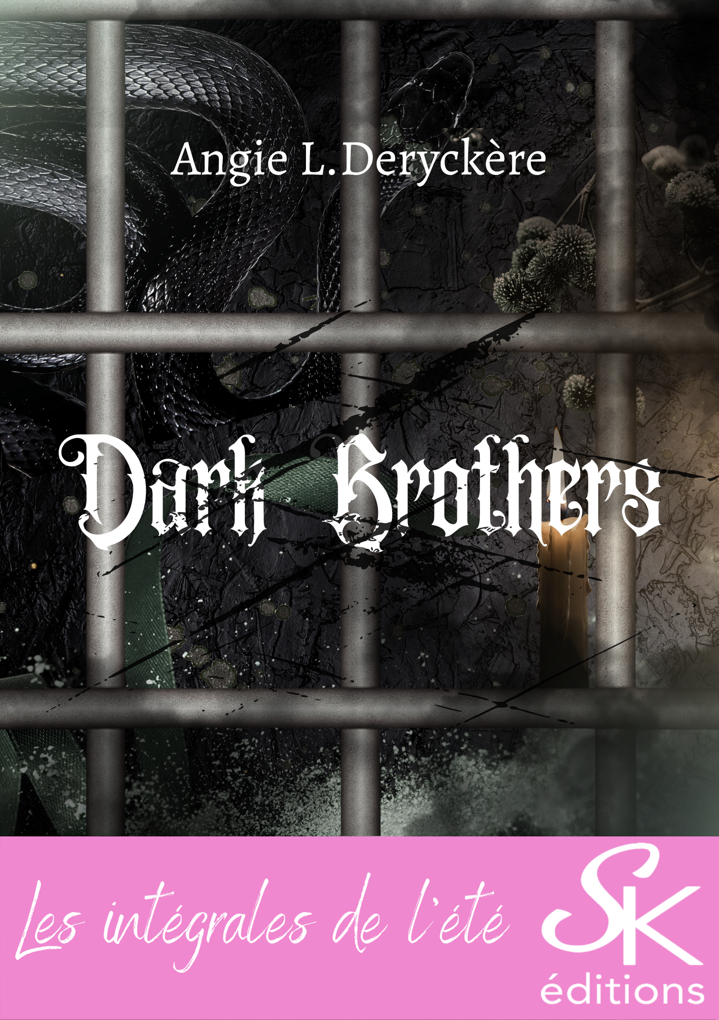 Dark Brothers l'intégrale de Angie L. Deryckère