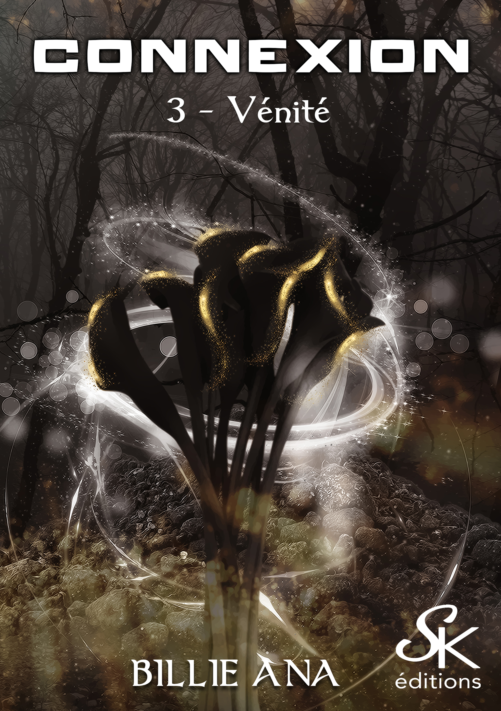 Connexion 3 : Vénité de Billie Ana