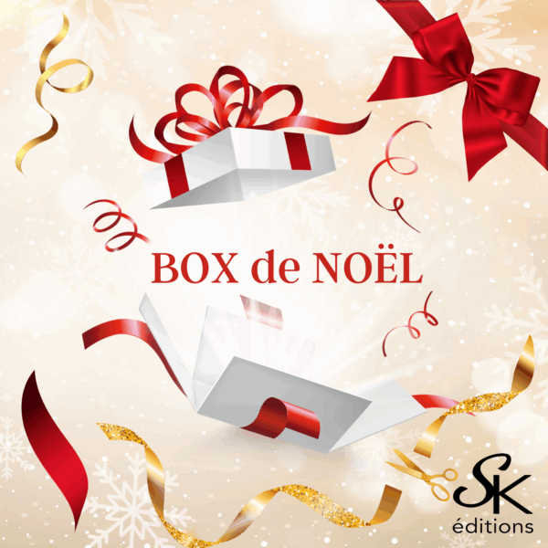 Box de noël